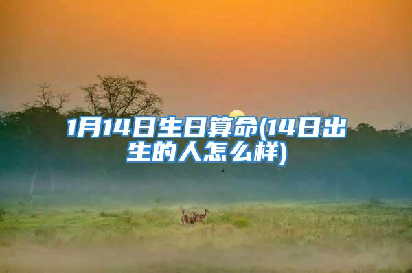 1月14日生日算命(14日出生的人怎么样)
