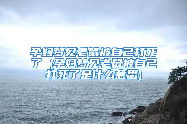 孕妇梦见老鼠被自己打死了 (孕妇梦见老鼠被自己打死了是什么意思)