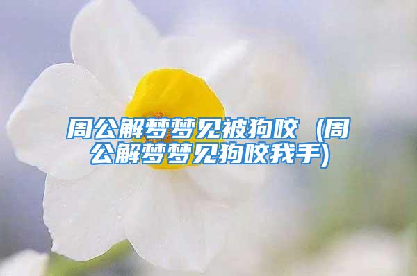 周公解梦梦见被狗咬 (周公解梦梦见狗咬我手)