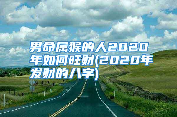 男命属猴的人2020年如何旺财(2020年发财的八字)