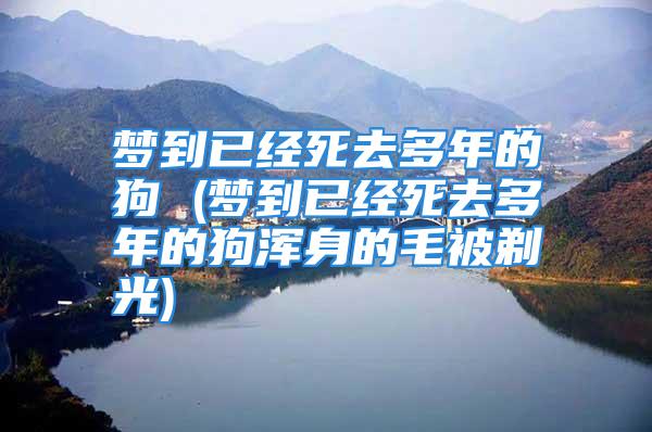 梦到已经死去多年的狗 (梦到已经死去多年的狗浑身的毛被剃光)