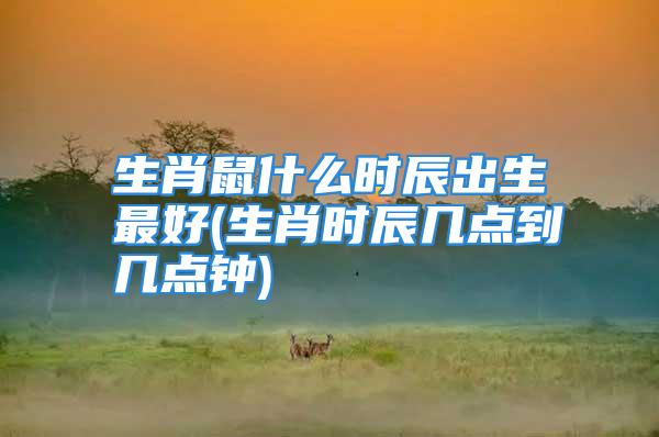 生肖鼠什么时辰出生最好(生肖时辰几点到几点钟)