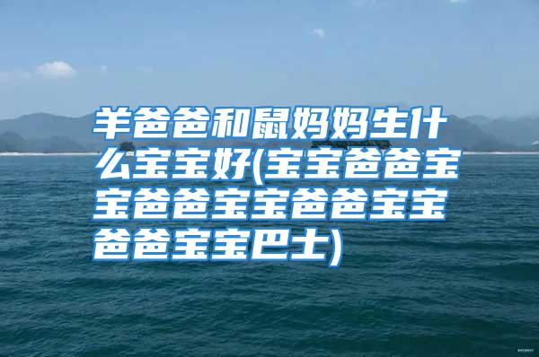 羊爸爸和鼠妈妈生什么宝宝好(宝宝爸爸宝宝爸爸宝宝爸爸宝宝爸爸宝宝巴士)