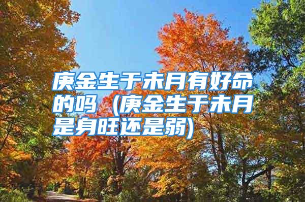 庚金生于未月有好命的吗 (庚金生于未月是身旺还是弱)