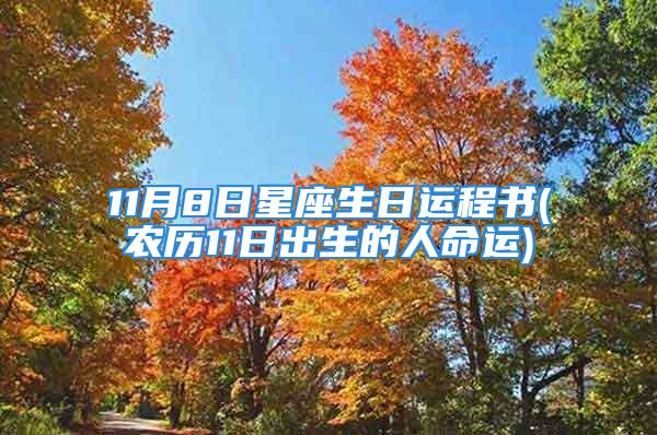 11月8日星座生日运程书(农历11日出生的人命运)