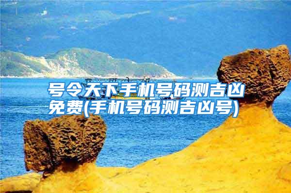 号令天下手机号码测吉凶免费(手机号码测吉凶号)