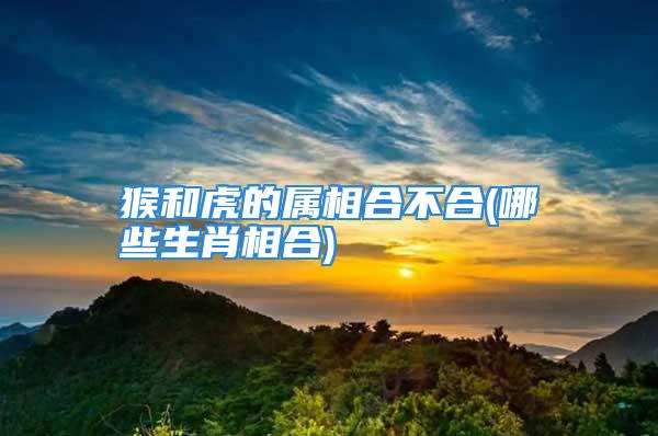 猴和虎的属相合不合(哪些生肖相合)