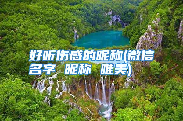 好听伤感的昵称(微信名字 昵称 唯美)
