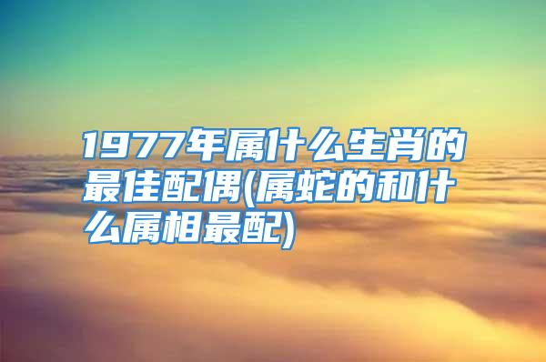 1977年属什么生肖的最佳配偶(属蛇的和什么属相最配)