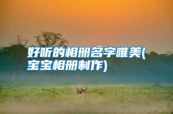 好听的相册名字唯美(宝宝相册制作)