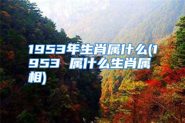 1953年生肖属什么(1953 属什么生肖属相)