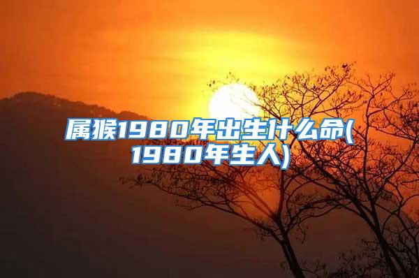 属猴1980年出生什么命(1980年生人)