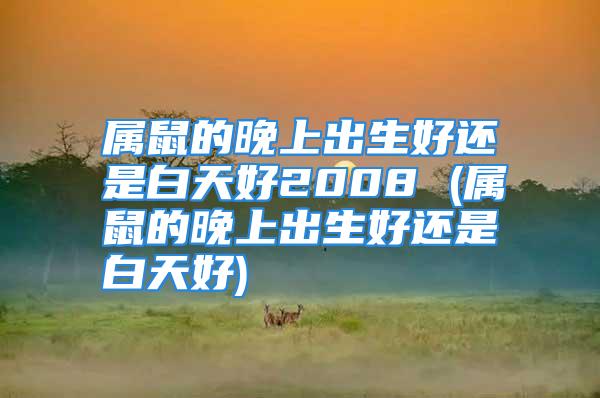 属鼠的晚上出生好还是白天好2008 (属鼠的晚上出生好还是白天好)