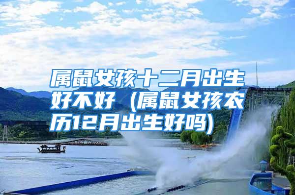 属鼠女孩十二月出生好不好 (属鼠女孩农历12月出生好吗)