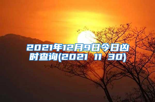 2021年12月9日今日凶时查询(2021 11 30)