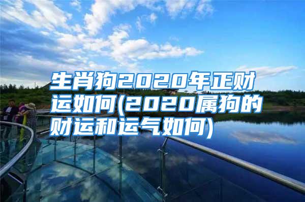 生肖狗2020年正财运如何(2020属狗的财运和运气如何)