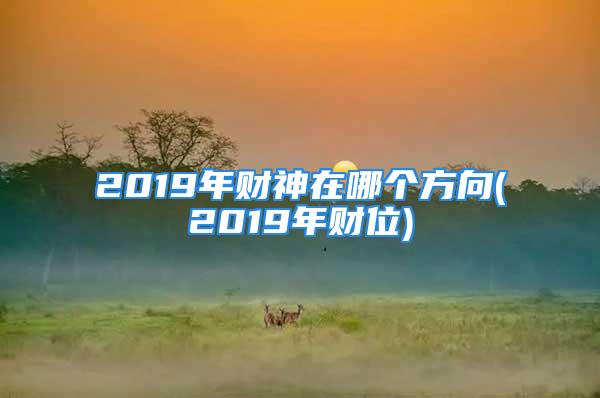 2019年财神在哪个方向(2019年财位)