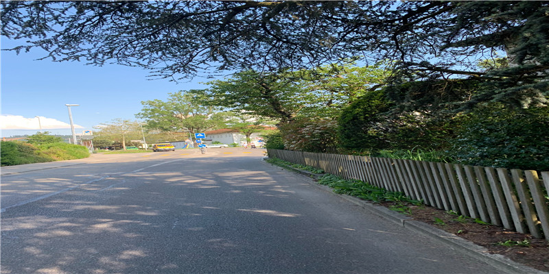 a型血的女人的性格是什么样的 (a型血的女生是什么性格的)