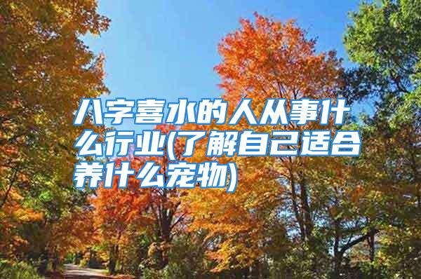 八字喜水的人从事什么行业(了解自己适合养什么宠物)