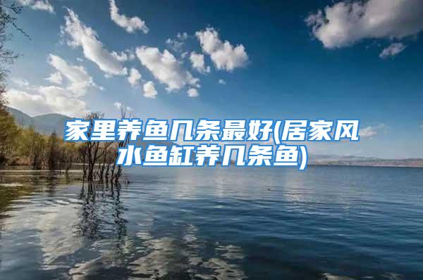 家里养鱼几条最好(居家风水鱼缸养几条鱼)
