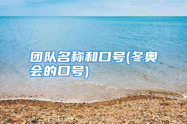 团队名称和口号(冬奥会的口号)