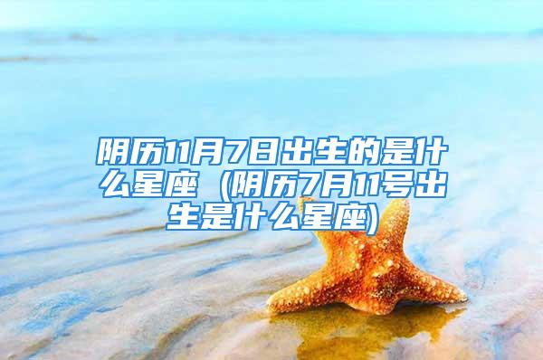 阴历11月7日出生的是什么星座 (阴历7月11号出生是什么星座)