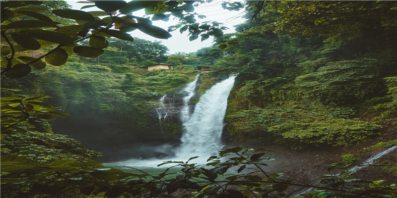 进门对面墙上挂什么好风水(家里风水画应该挂在进门什么位置)