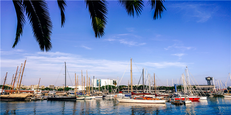 什么是杀子痣(杀子痣代表什么)