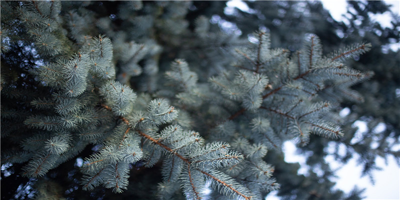 有大财的八字特征(财库大运发大财的八字)