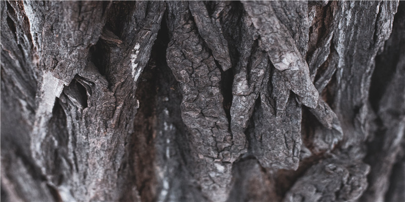 男人手相论命(手掌分析命运)