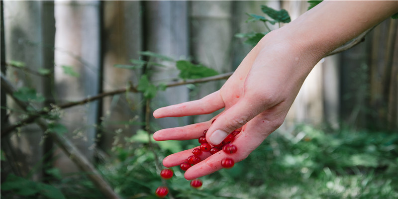 八字命局中虚与实的应用(八字身旺伤官泄秀)