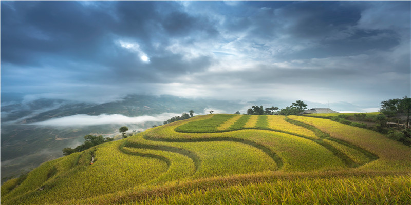 八字算命的准确率是多少(算八字准确率有多少)