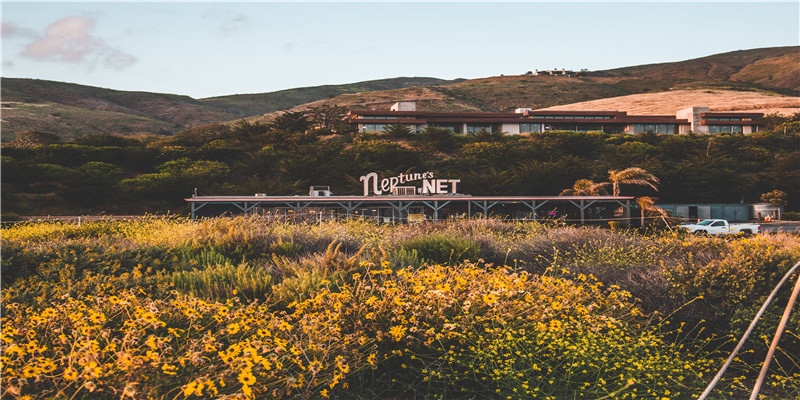 日坐七杀的男命(男命时柱七杀坐七杀)