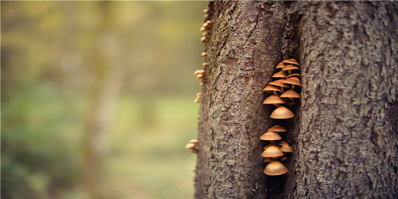 教你确立八字中的第一用神(八字中天干地支)