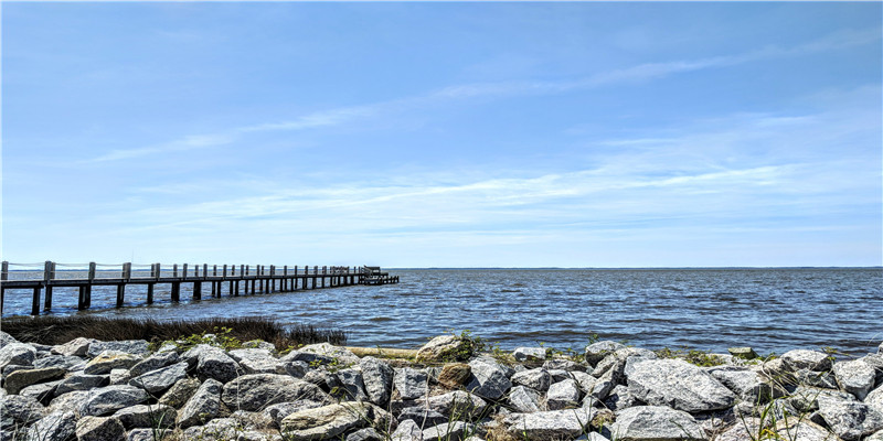 麦玲玲说李嘉欣八字 (李嘉欣的八字姻缘)