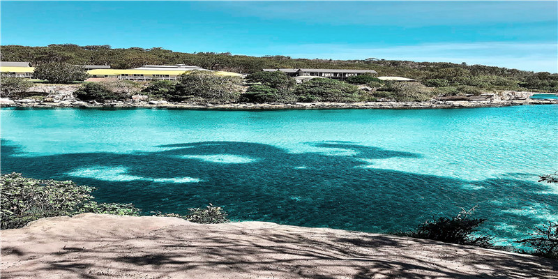 梦到别人生孩子大出血死了 (梦见自己生小孩大出血死了)