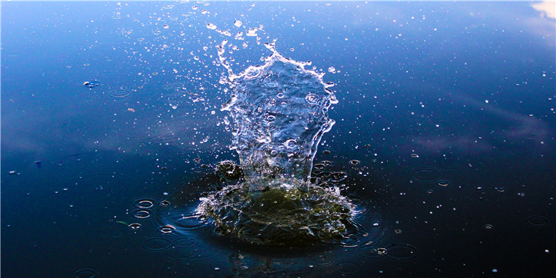 家族名字大全唯美简短(好听的名字取名)