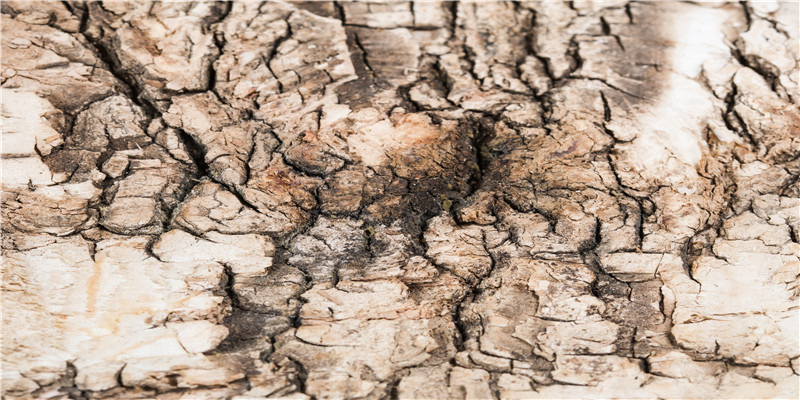 岁运并临的凶吉怎样知道(八字看流年运势)