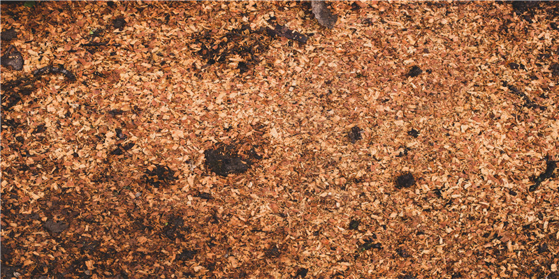 男命走正官运好不好(男命八字正官代表什么)