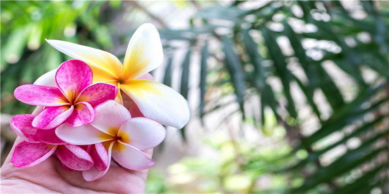 如何快速调节婆媳关系(婆媳之间关系)