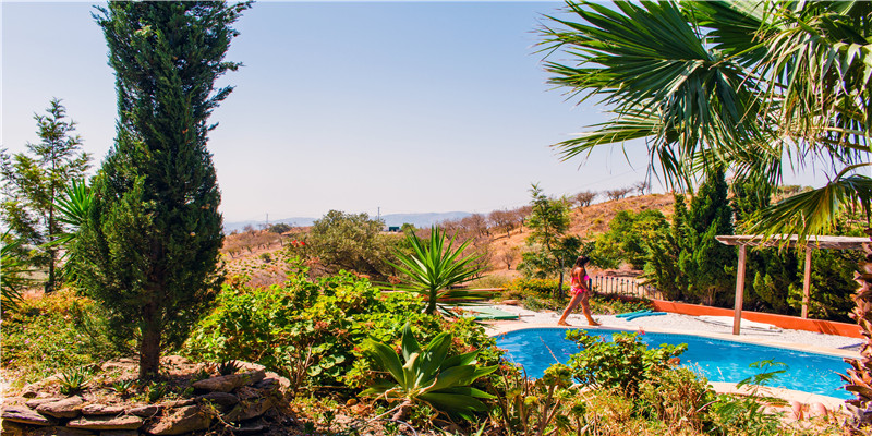 晚上梦见抓蛇是什么预兆 (晚上梦到抓蛇)