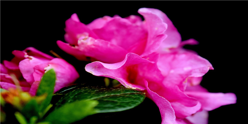 路冲煞是什么意思(风水路冲煞是什么)