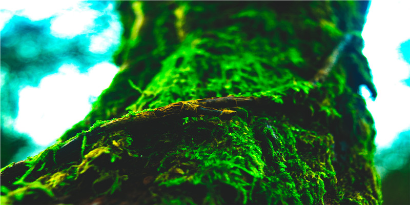 好听的主播艺名女(起主播艺名)