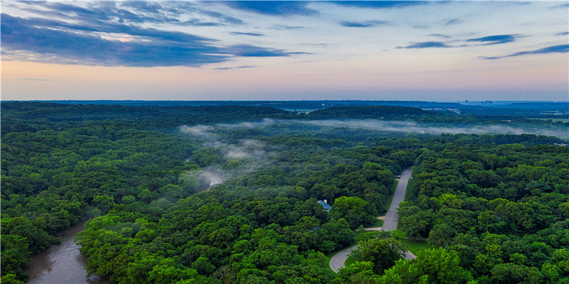 巽命东四命是什么意思 (巽宫东四命什么意思)