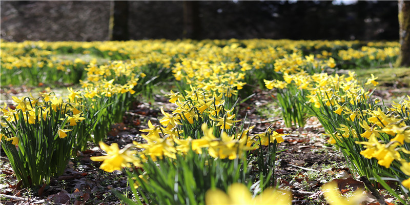 巨蟹座和什么座最配(巨蟹座与水瓶)