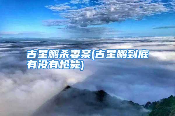 吉星鹏杀妻案(吉星鹏到底有没有枪毙)