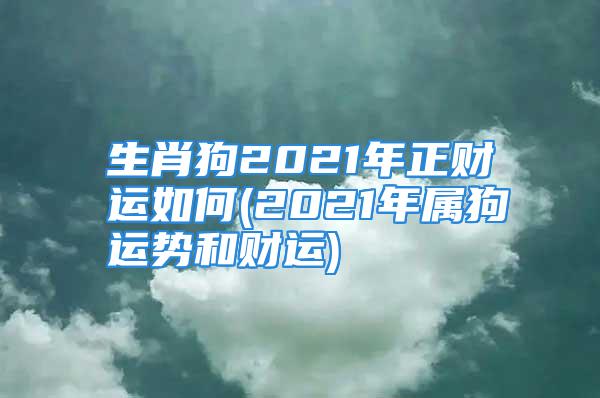 生肖狗2021年正财运如何(2021年属狗运势和财运)