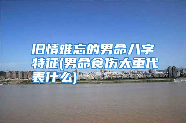 旧情难忘的男命八字特征(男命食伤太重代表什么)