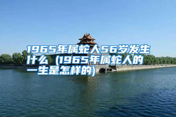 1965年属蛇人56岁发生什么 (1965年属蛇人的一生是怎样的)