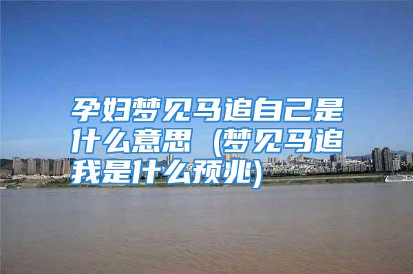 孕妇梦见马追自己是什么意思 (梦见马追我是什么预兆)